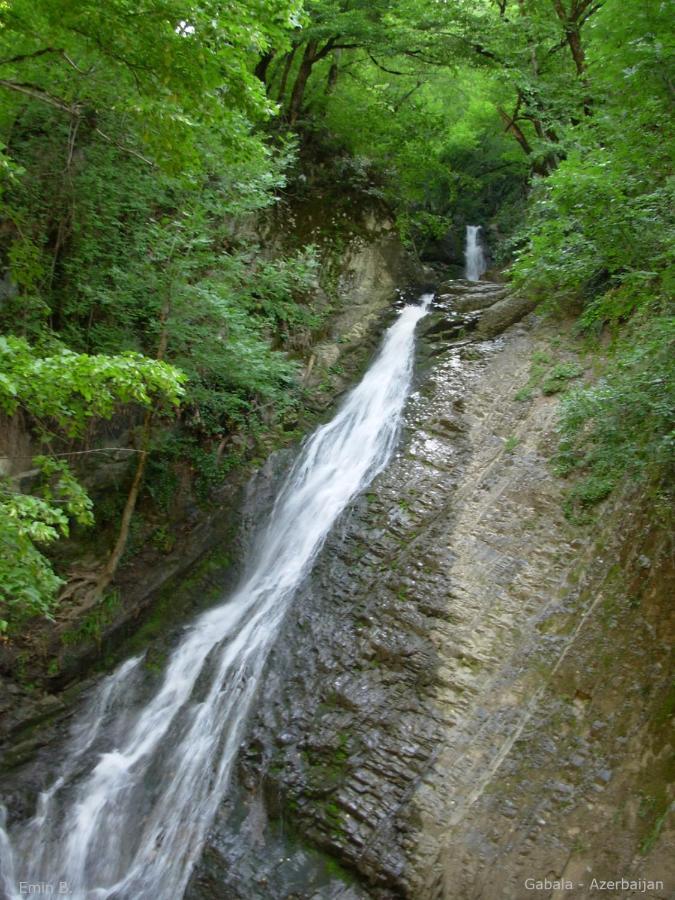 Woodland Paradise Gabala Luaran gambar