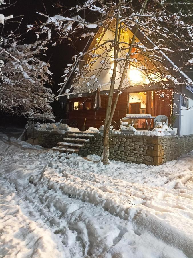 Woodland Paradise Gabala Luaran gambar
