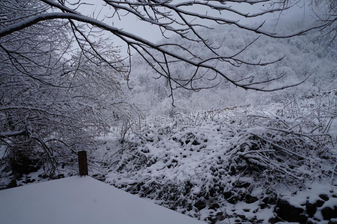 Woodland Paradise Gabala Luaran gambar