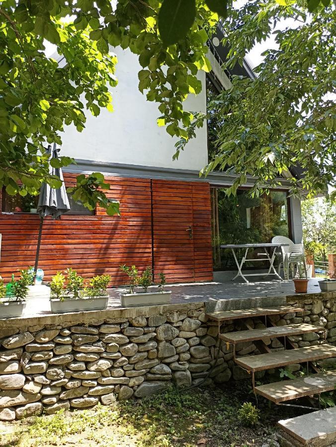 Woodland Paradise Gabala Luaran gambar